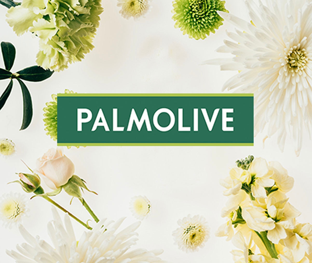 Palmolive dekorativní květiny